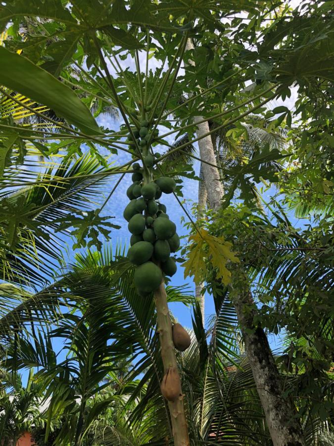 Lagudri New Raya - Nias Beach Bungalows מראה חיצוני תמונה
